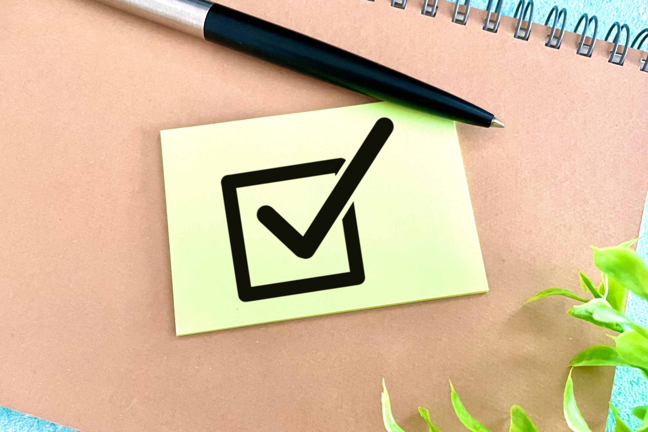 チェックするポイント